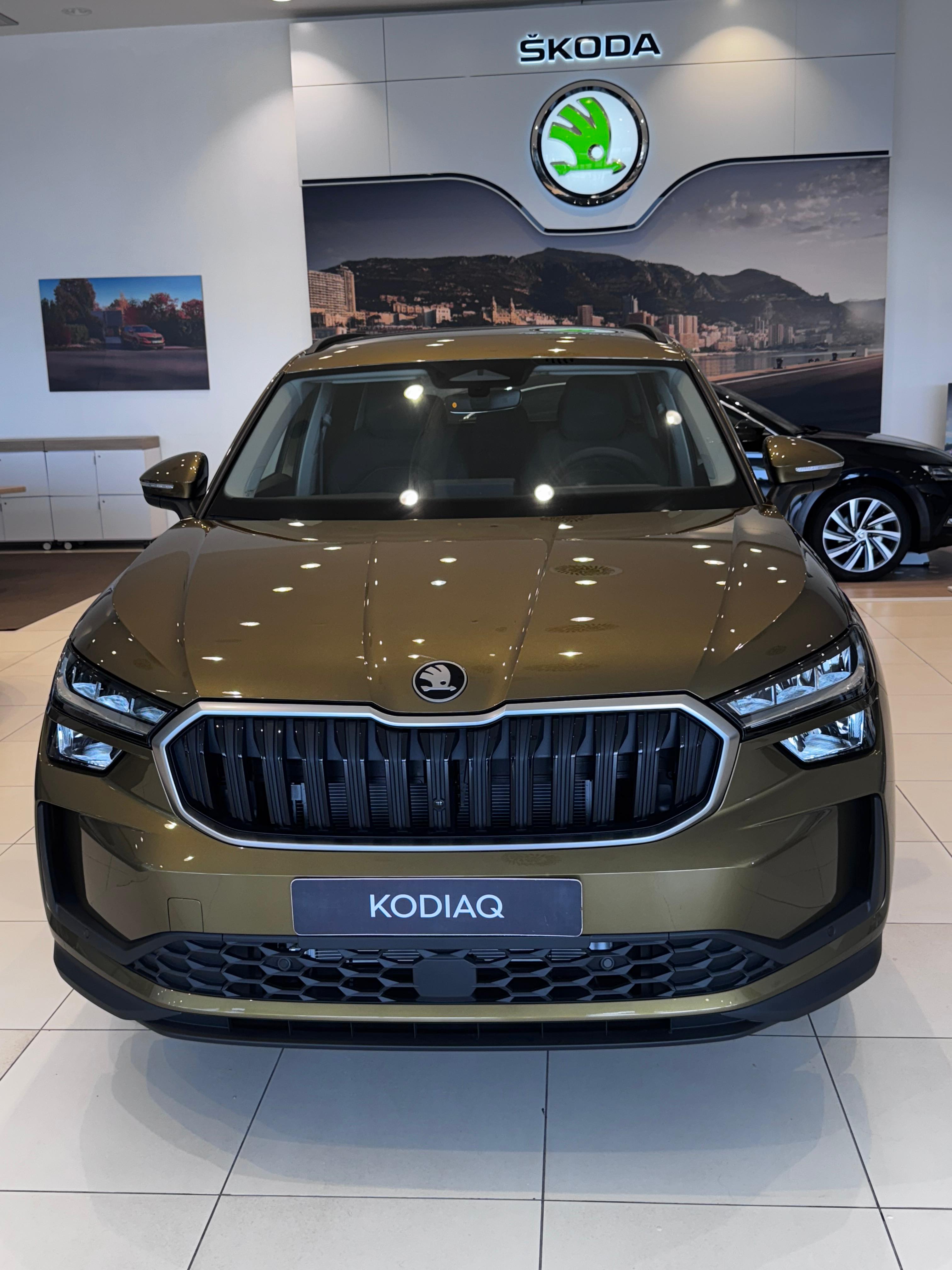 Skoda Kodiaq private SUV transfer in Morocco