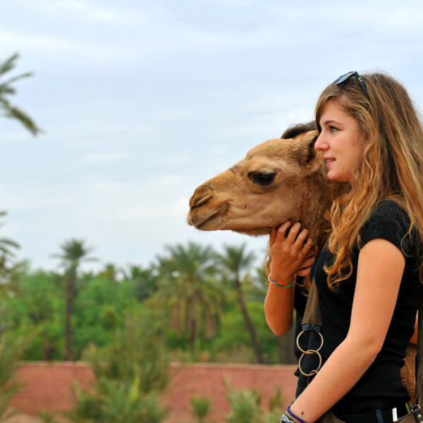 Activity Sunset Tour & Camel Ride At Palm Grove Of Marrakech